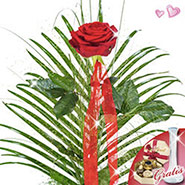 Flower arrangement with vase & Lindt Rose Kiss chocolates