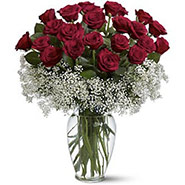 Roses-Gift-24RED 
