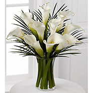 Calla-10stems 