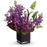 mokara-orchid-vase 